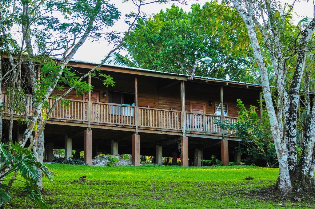 The Log Cab-Inn San Ignacio Rom bilde