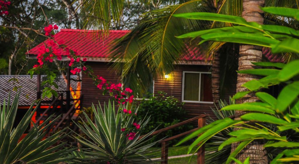 The Log Cab-Inn San Ignacio Rom bilde