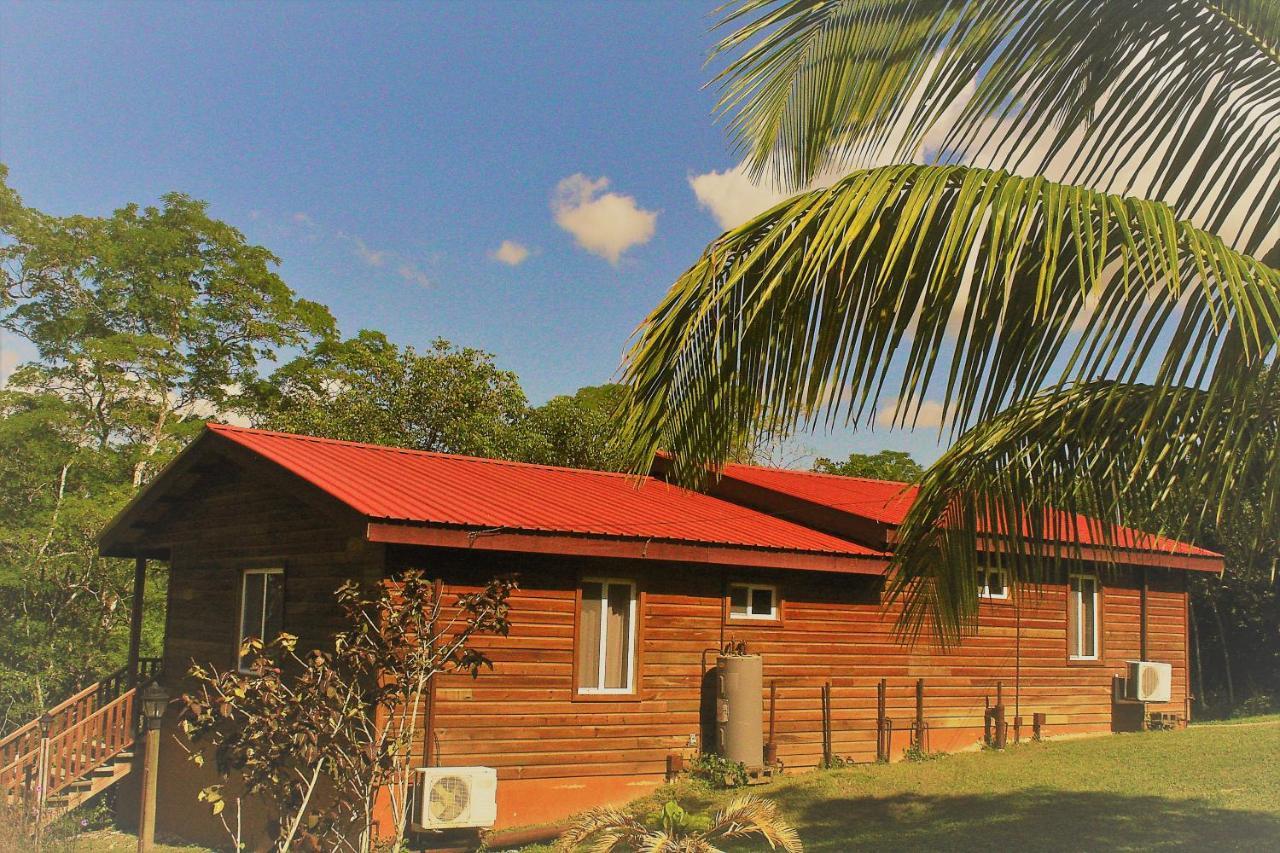 The Log Cab-Inn San Ignacio Eksteriør bilde